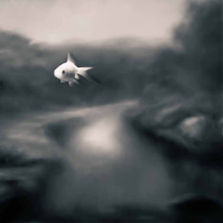 Fish Story