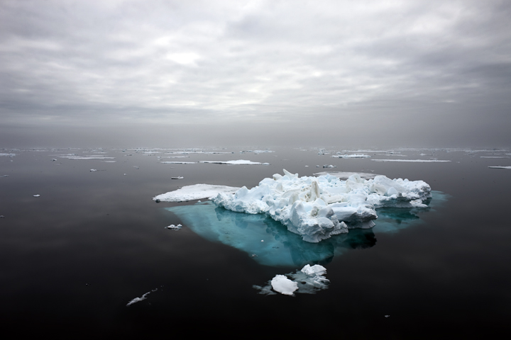 Sea Ice Remnant, Svalbard