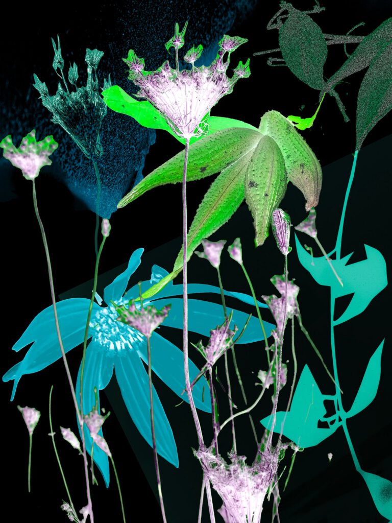 Wildflowers 15