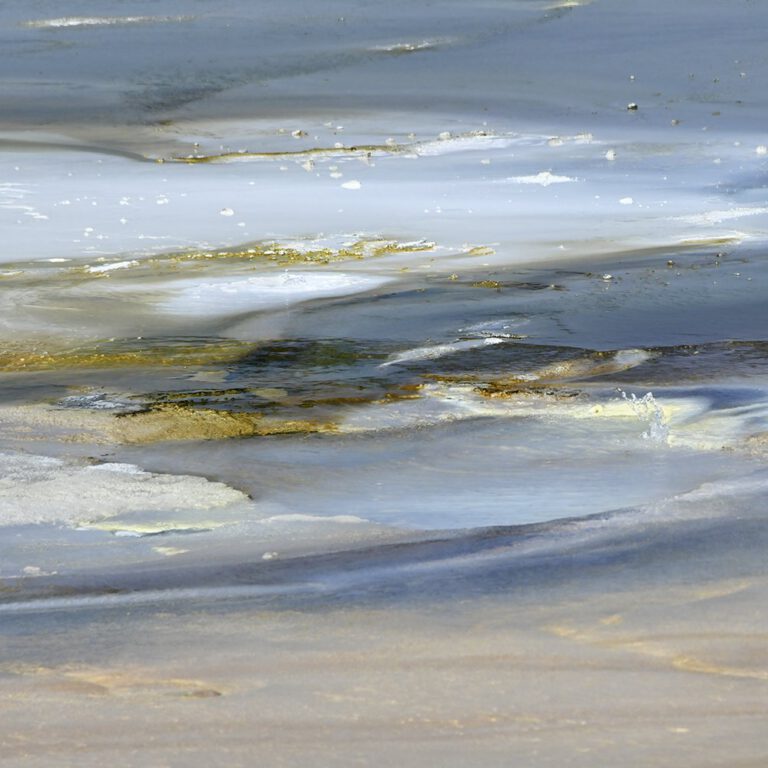 Geyser Basin 2