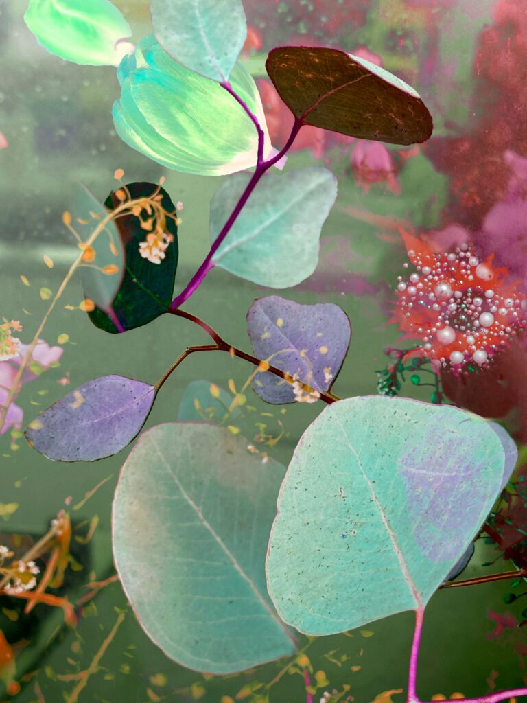 Flowers III 13