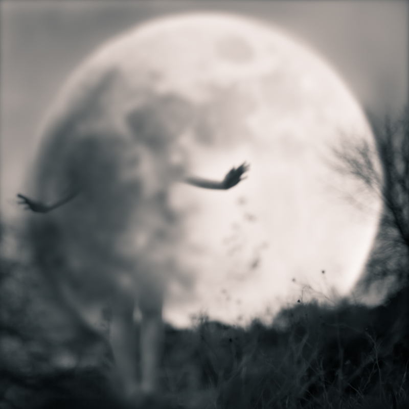 Girl in the Moon