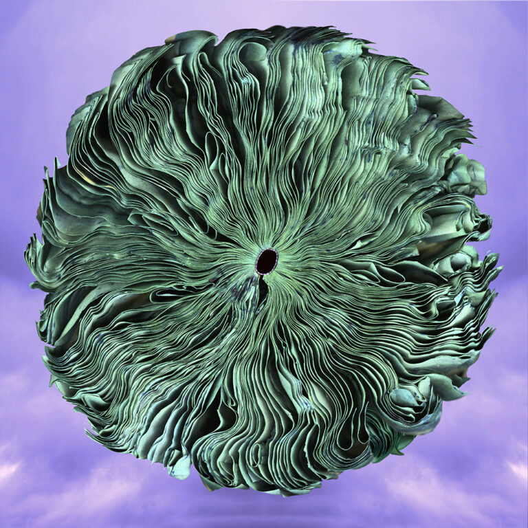Green Earth, New Sky