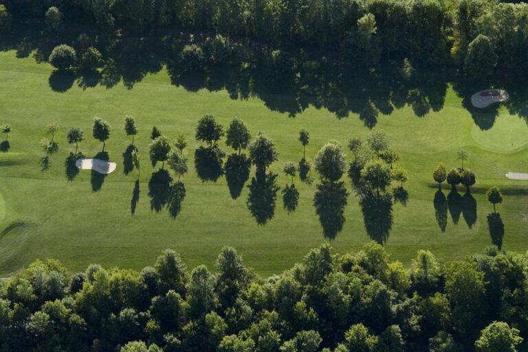 Three Tree Lines, near Sodus, NY