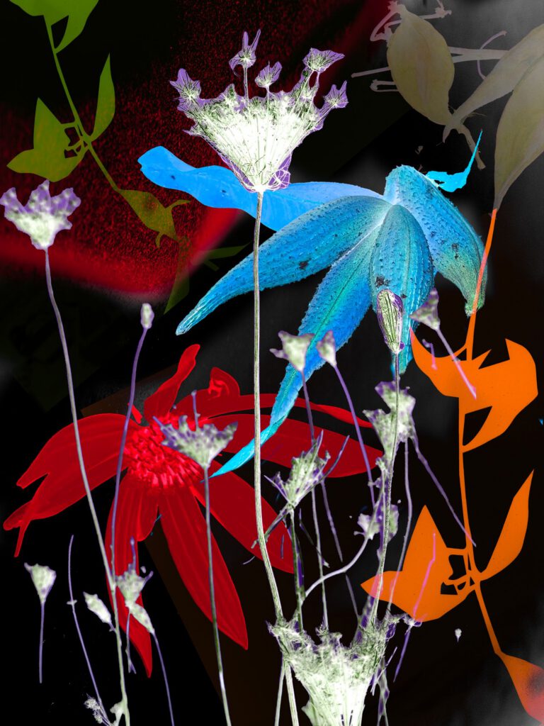 Wildflowers 13
