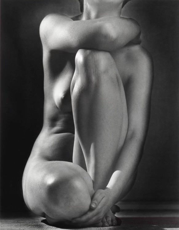 Classic Torso