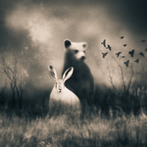 Imaginary Friends