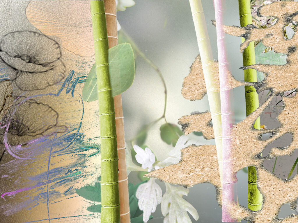 Japanese Spring 04