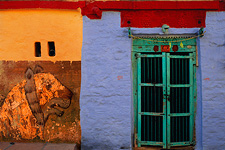 Tiger Wall, Pokarun, India