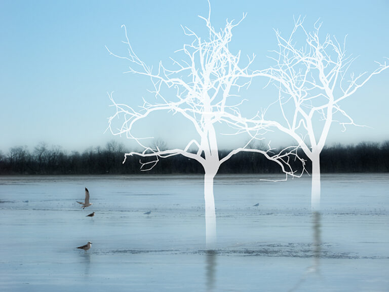 Ethereal Nature