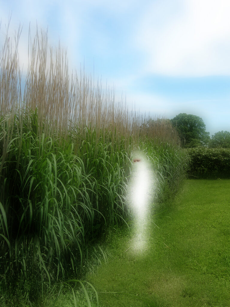 Silent Spring