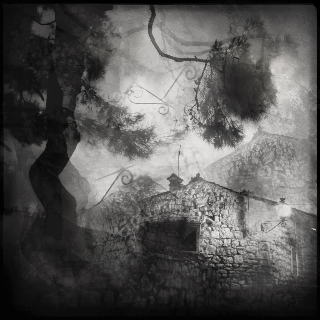 The Fragile