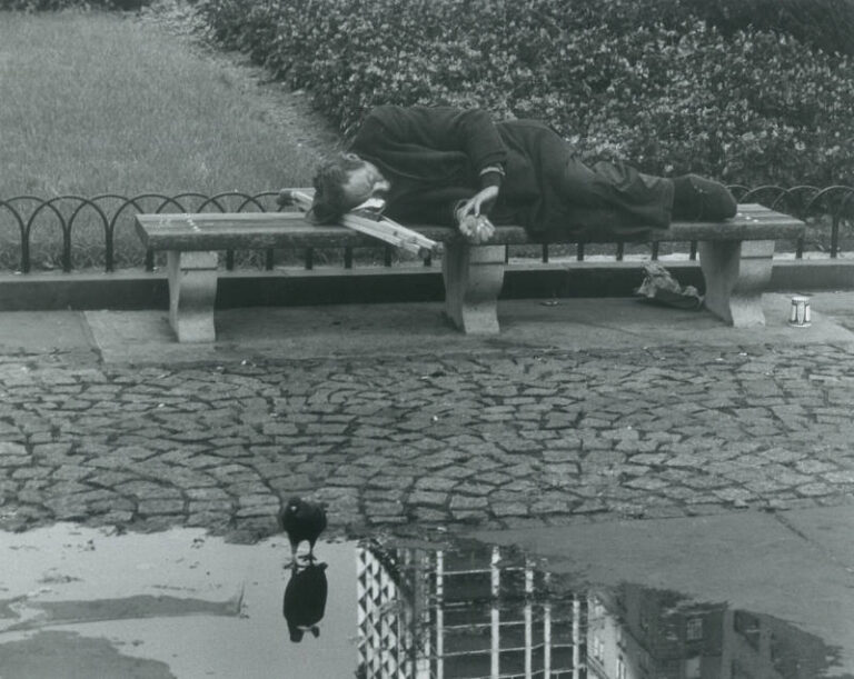 Man Sleeping on Park Bench with Pigeon and Puddle, NYC