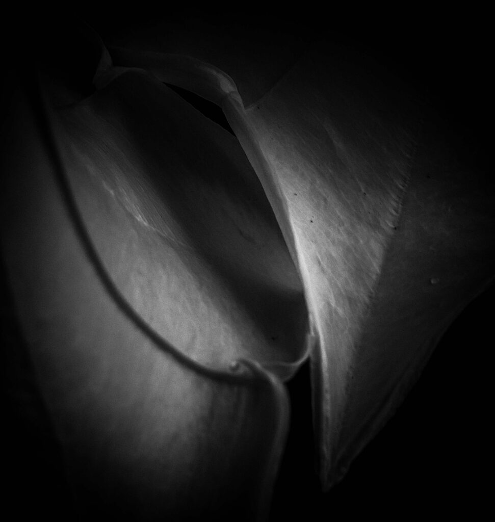 The Edge of Simplicity II