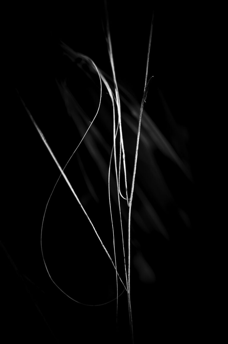 The Edge of Simplicity V