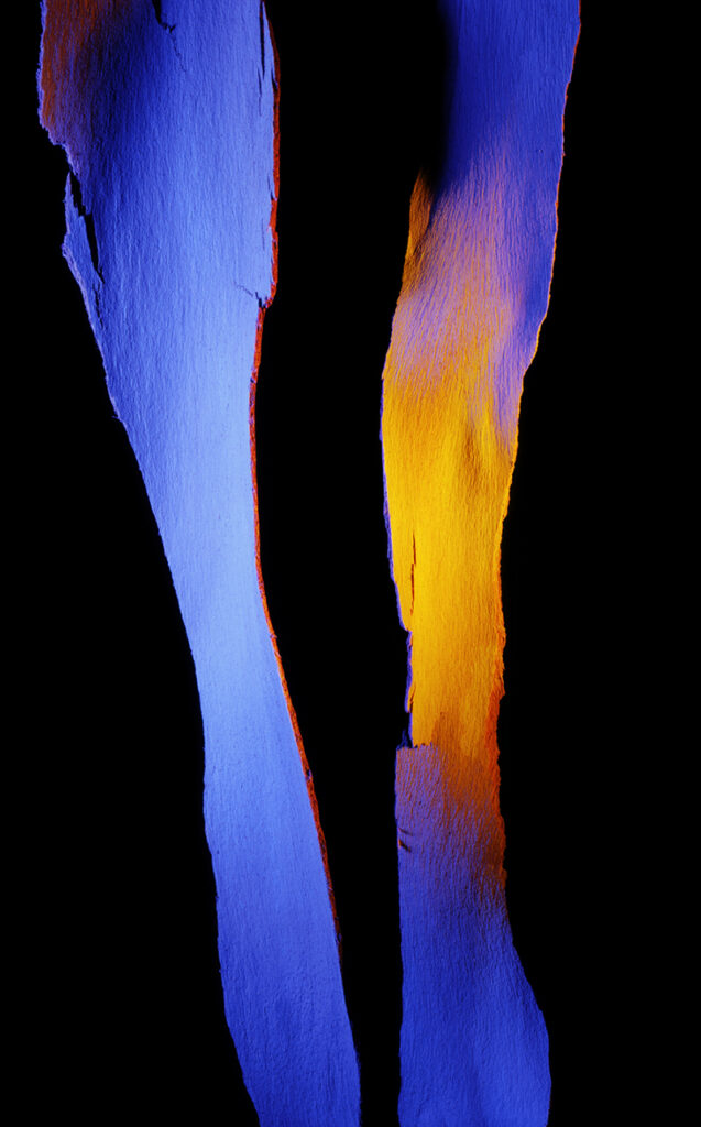 Spectrum Suite #209
