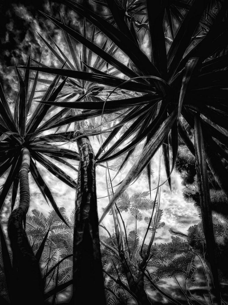 In the Garden at Chislehurst #8284