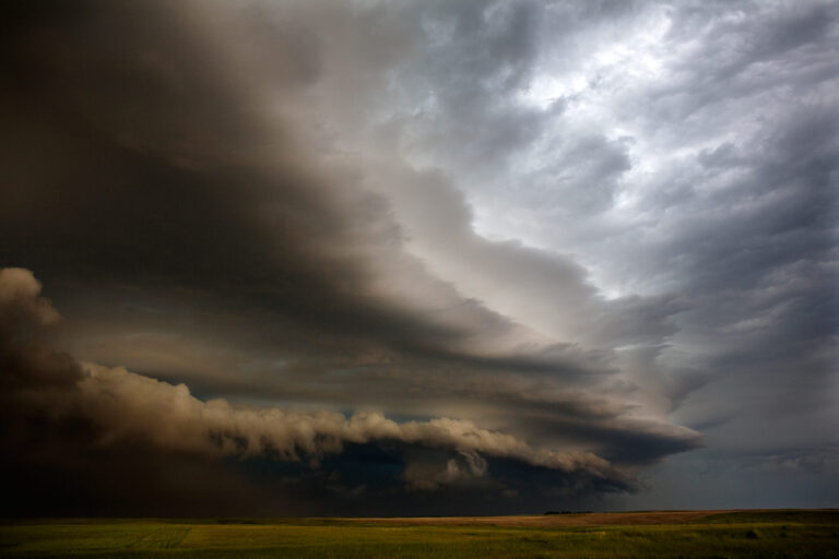 The Collapse II, SD