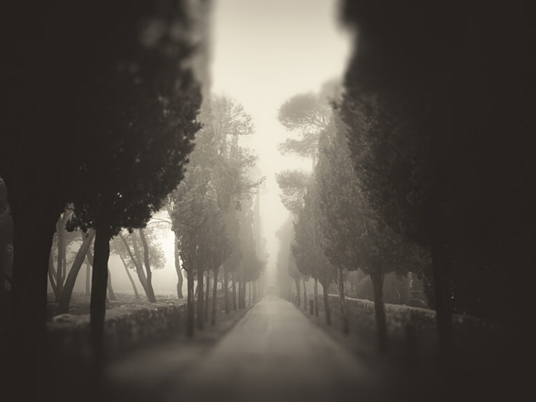 Mount Tabor 1