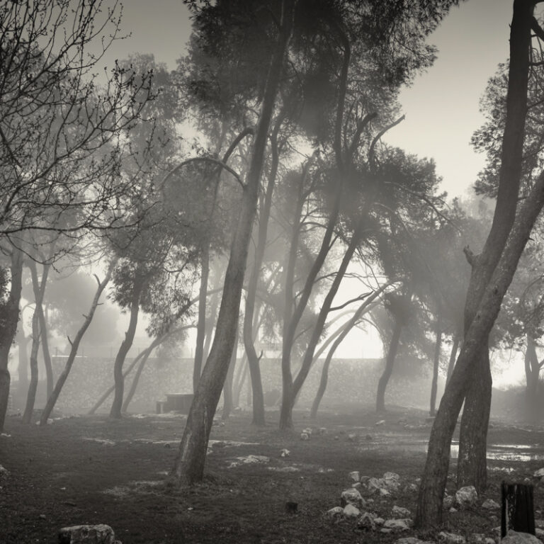Mount Tabor 3