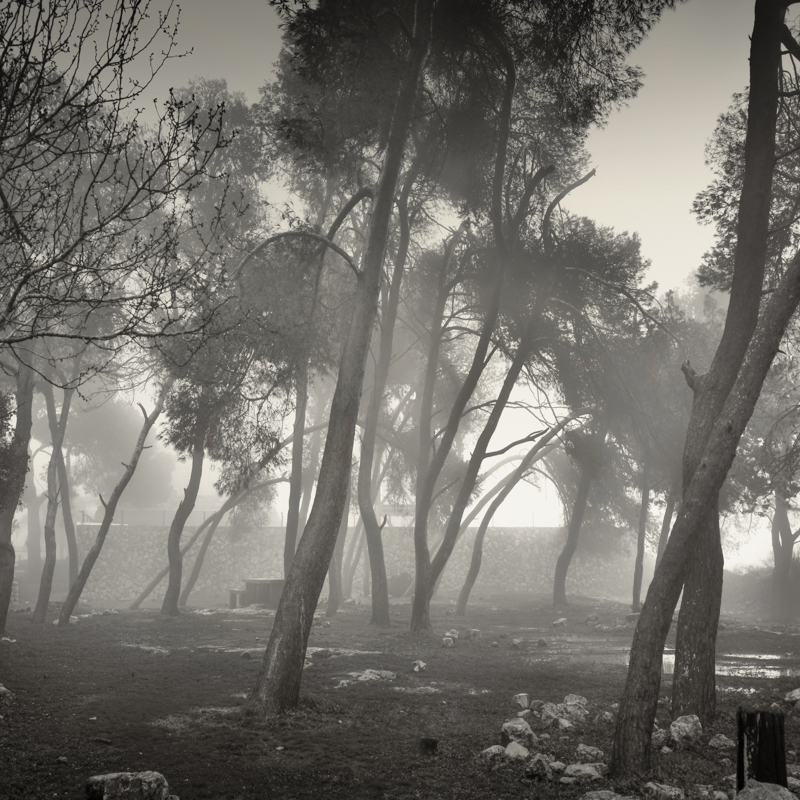 Mount Tabor 3