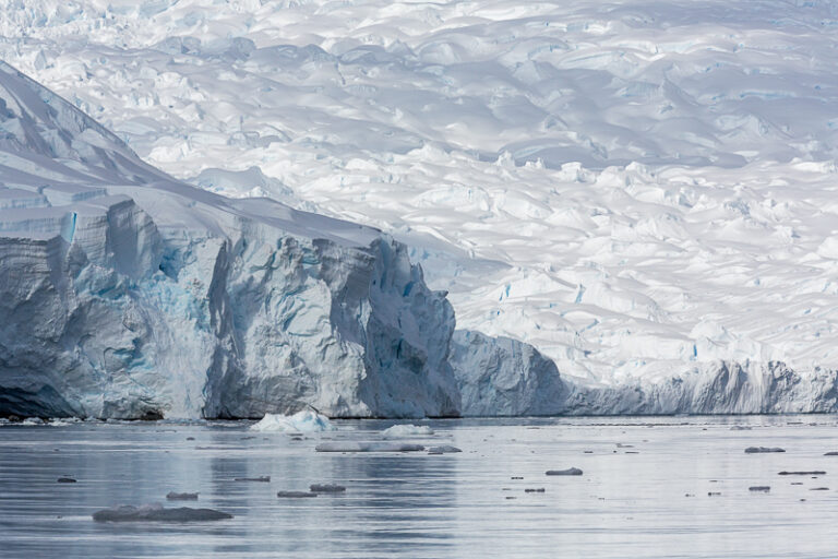 Glaciers, Scontorp Cove in Paradise Bay