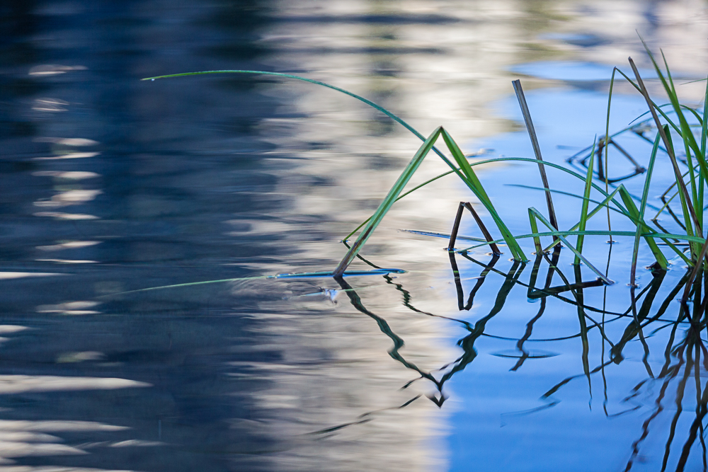 Reflections
