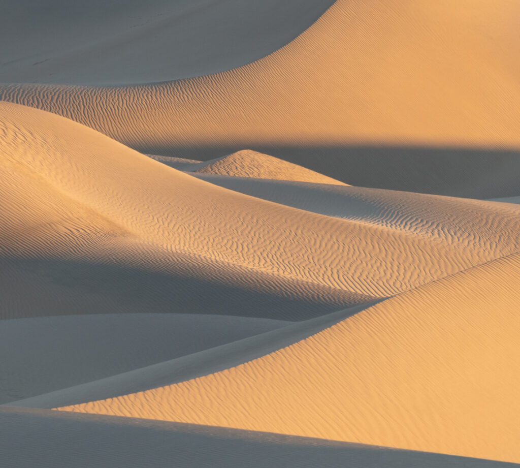 Morning Light, Mesquite Dunes, Death Valley National Park
