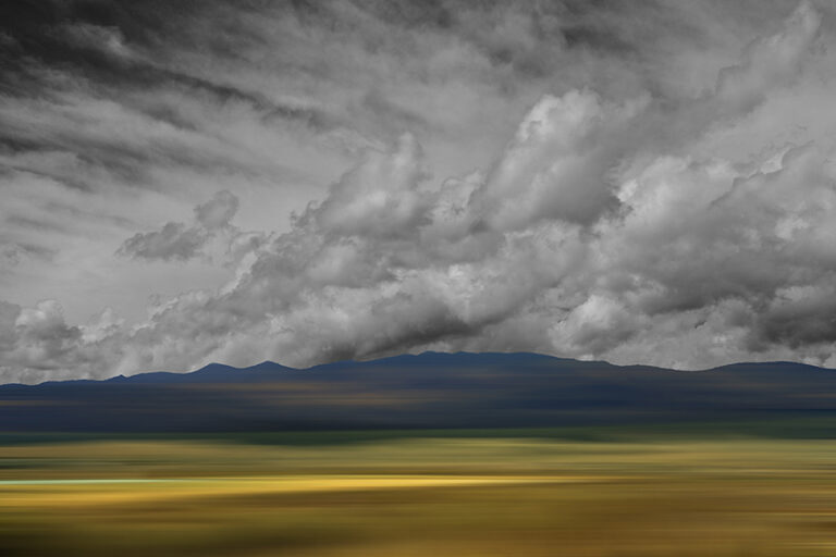 New Mexico Dreaming