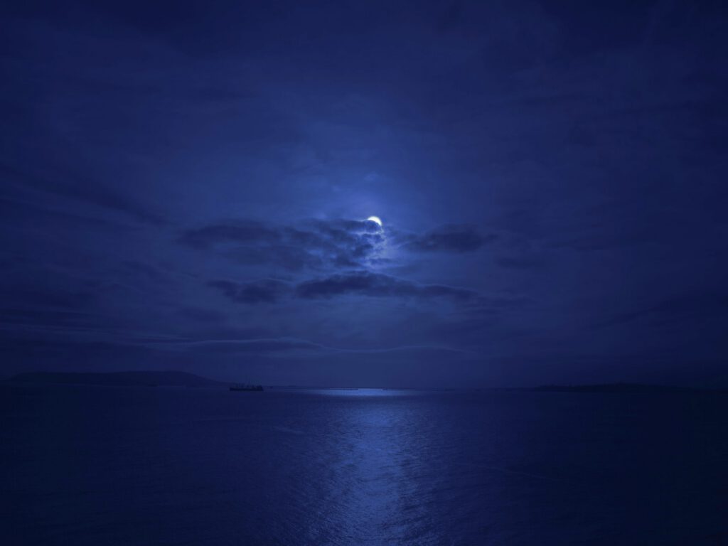 Night