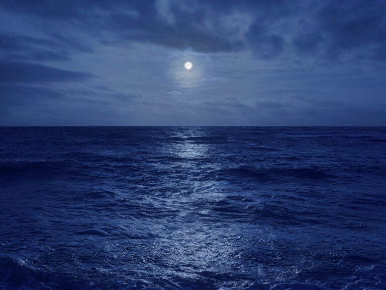Nightfall 5