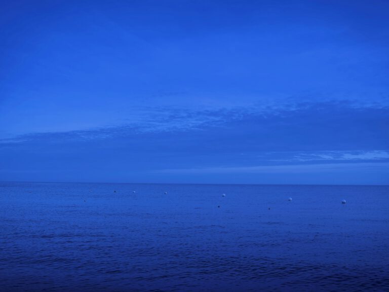 Nightfall 7