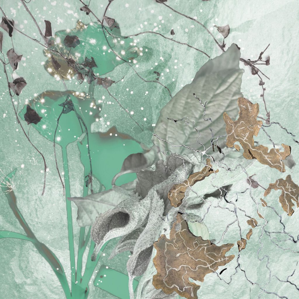 Flowers V 03