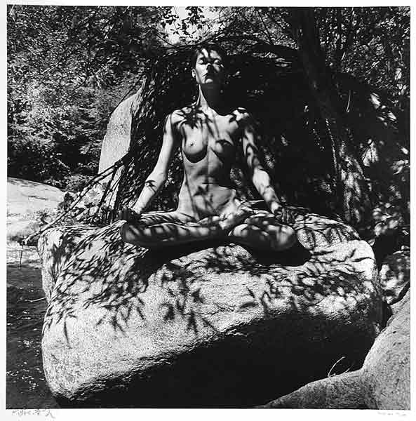 Twinka Under Tree Shadow, Yosemite