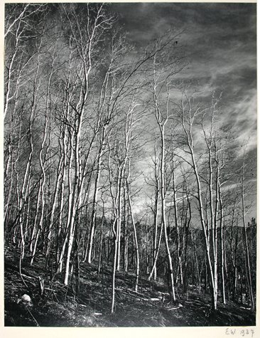 Aspen Valley