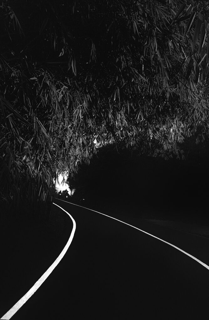 Path, Bali