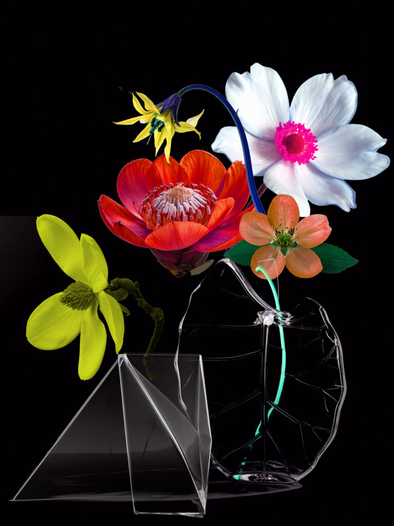 Still Lifes Unbound 02