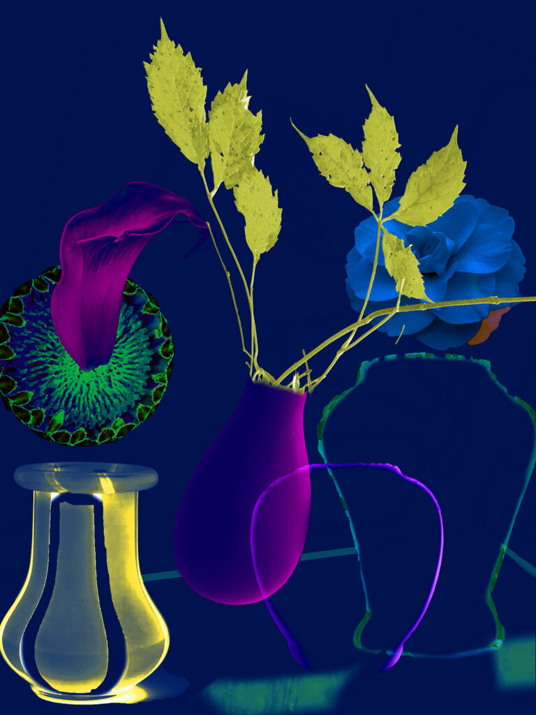 Still Lifes Unbound 16