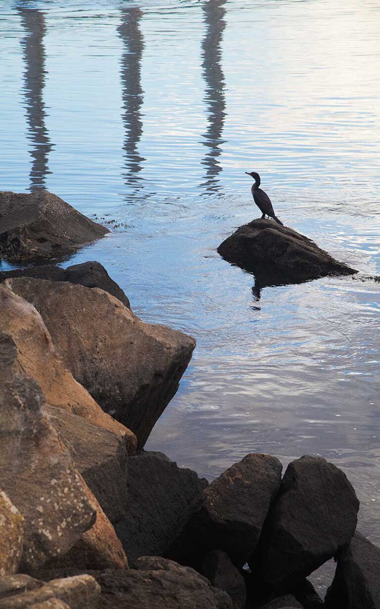 Morro Reflections II