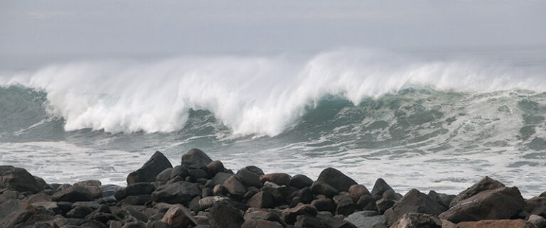 Morro Swell