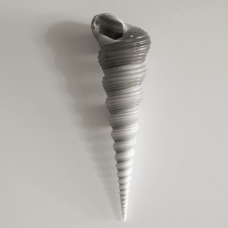 Spiral