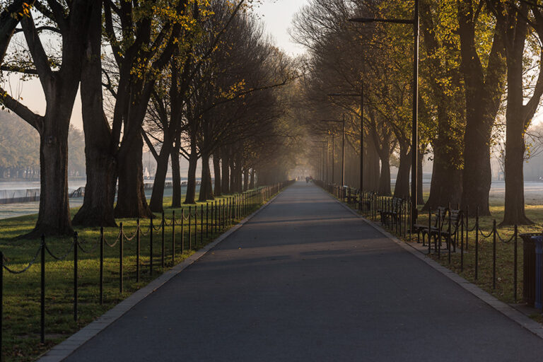 South Walkway