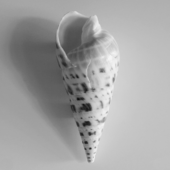 Spiral 2