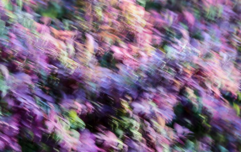 Spring Movement 4