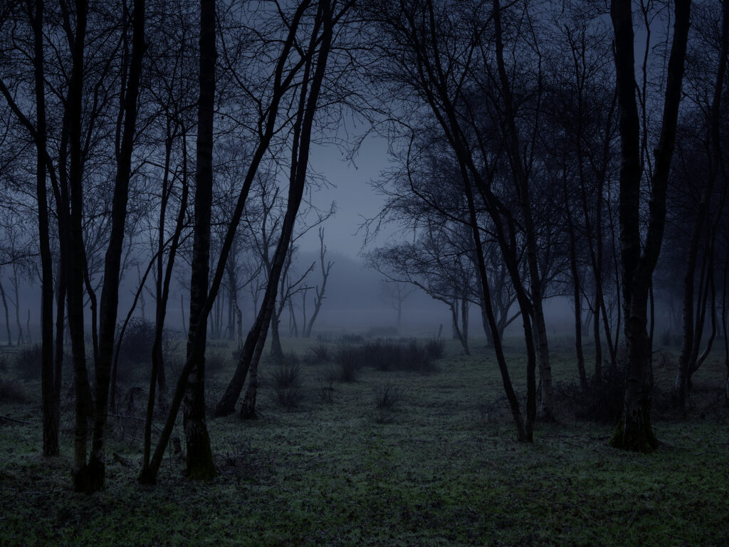 Stillness 3