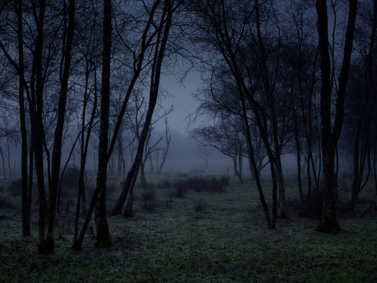 Stillness 3