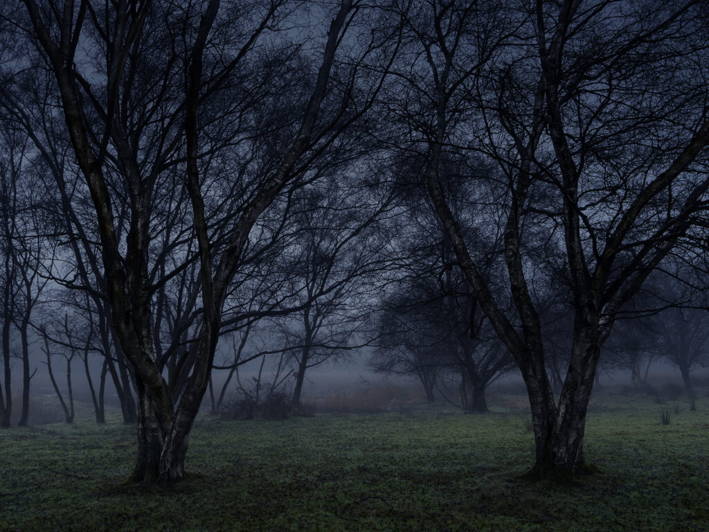 Stillness 6