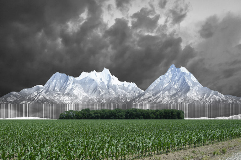 Taos Maize