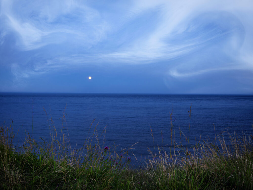 Ebb and Flow 14