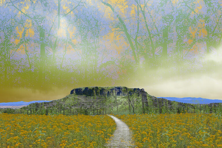 Through the Flowers to Black Mesa